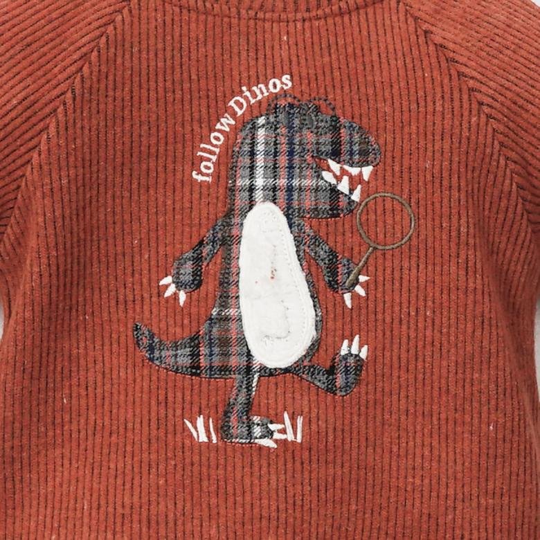Erkek Bebek 19216081 - Sweatshirt