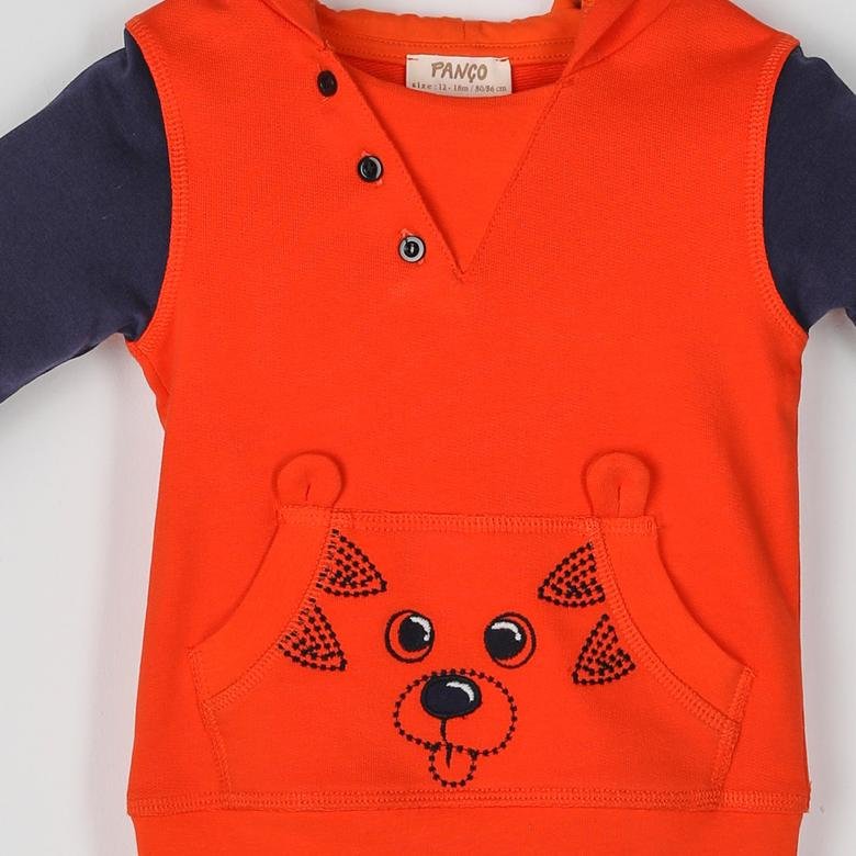 Erkek Bebek Kapüşonlu Nakış Detaylı Renkli Sweatshirt