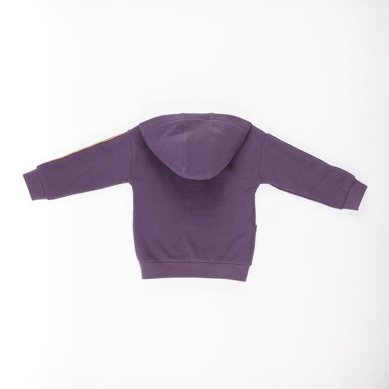 Erkek Bebek Kapüşonlu Kolları Şerit Detaylı Sweatshirt