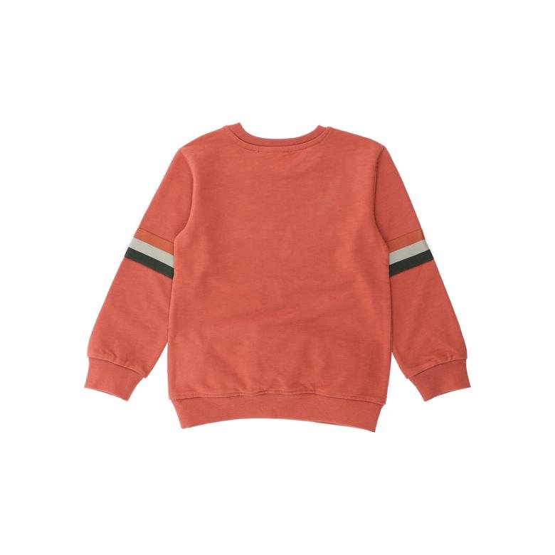 Erkek Çocuk Kollları Şerit Detaylı Baskılı Sweatshirt
