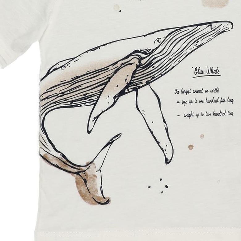 Erkek Çocuk Balık Desenli Kısa Kollu T-shirt