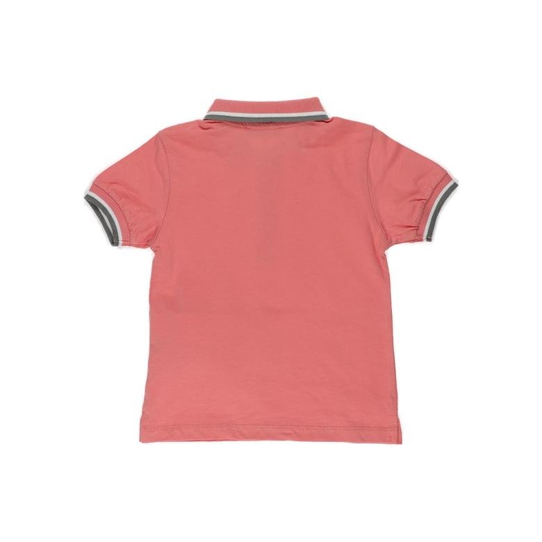 Erkek Bebek Triko Bant Detaylı Polo Yaka Tişört