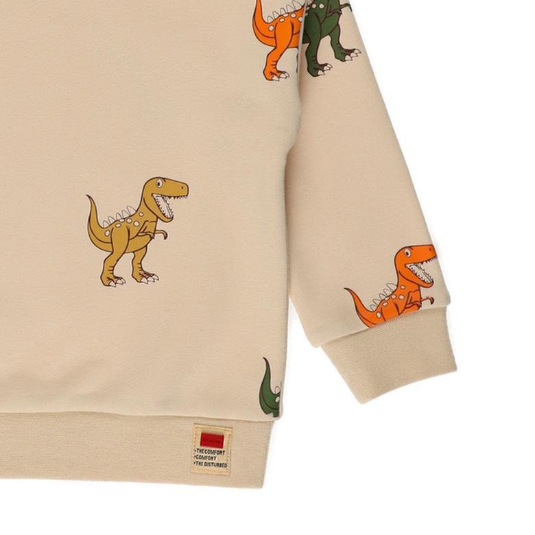 Erkek Bebek Dinozor Baskılı Sweatshirt