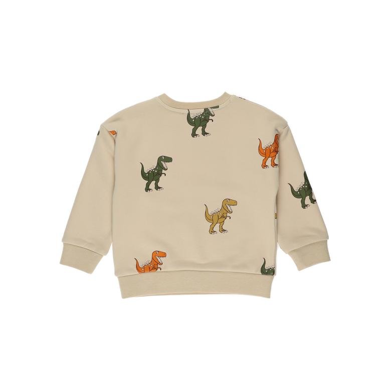 Erkek Bebek Dinozor Baskılı Sweatshirt