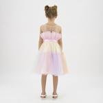 Kız Çocuk Renkli Tül Detaylı Parti Elbisesi